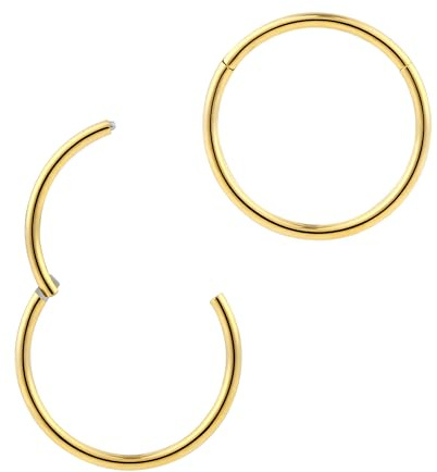 365 Sleepers 2Pcs G23 Titanium 20G (Ultra Thin) Hinged Segment Ring Hoop – Implant Grade Nickel Free Septum Nose Lip Helix Tragus Earring Body Piercing Jewelry, 6mm- 10mm