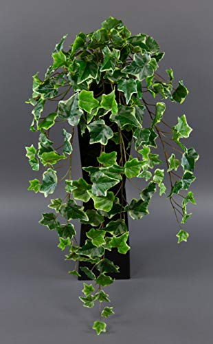 Seidenblumen Roß Efeubusch Real Touch DP Kusntpflanzen künstliches Efeu Efeuranke (75cm, Grün-Weiß)
