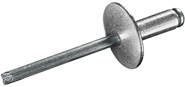 GOEBEL® - 250 x Blindnieten Aluminium/Stahl (Ø x L) 5,0 x 10,0 mm mit Großkopf - Großkopf Niete - Popniete - STANDARD