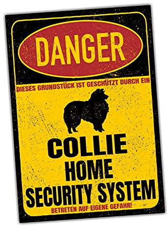 Collie Langhaarcollie Dog Schild Danger Security System Türschild Hundeschild Warnschild Sicherheitsschild Hund Privatgrundstück Hundewarnung Warnung vor dem Hund