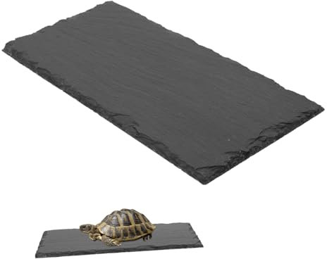 Happyyami Assiette De Bain pour Lézard Bassin Alimentation Assiette De Repos pour Tortue Bassin Décoratif