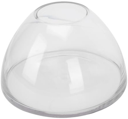 TOYANDONA Contenedor de Micropaisaje de Vidrio de Borosilicato para Musgo