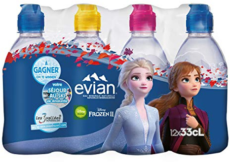 Evian Eau Minérale Naturelle Bouteille 12 x 33 cl