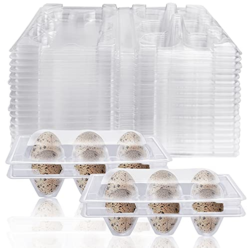 FIGFYOU 50 Pezzi Vassoio per Uova di Quail in Plastica Contenitore Per Uova Quaglia In Plastica Portauovo di Quaglia per Frigorifero Scatole per Uova di Quaglia a 6 Griglie Porta Uova di Quaglia