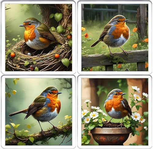 Robin Red Breast Coaster Set. 4 different Robin Bird Pictures on 10cm x 10cm Acrylic Coasters. Boxed Coaster Drip Mat Set.