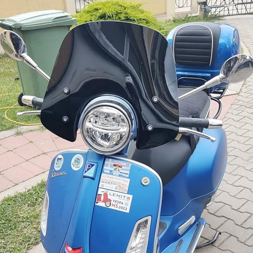 Motorrad Scooter Windschild Windschutzscheibe Mit Halterung für GTS 250 300 GTS250 GTS300 2017 2018 2019,Windabweiser Windschutz Wind Luftabweiser (Schwarz)