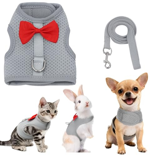 AIITLE Ensemble harnais et laisse pour chat avec jolie boucle, harnais en maille douce et respirante pour lapins, chatons, furets, chiots, petits animaux, accessoires de promenade, gris, S