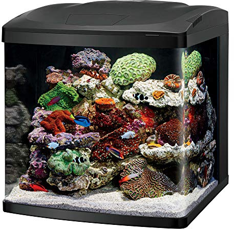 Coralife BioCube, Aquarium Kit, Integrated 24-hour Timer, Customizable LED Lighting, for Saltwater and Freshwater Environments, 32 Gallon