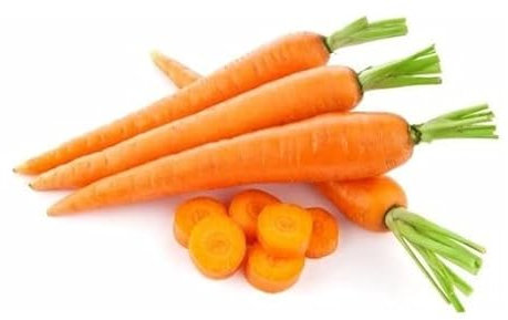 Semillas de ZANAHORIA Natural Sobre de Semillas para Cultivar en Huerto y Jardín