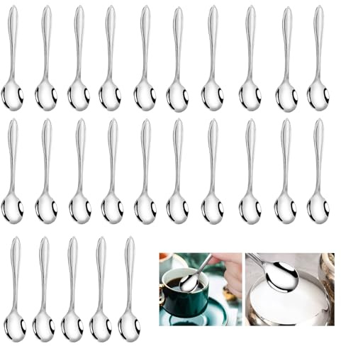 25 Pièces Mini Cuillères en Acier Inoxydable, 9,5 cm Petites Cuillères pour Épices Sel Sucre Miel Condiments Cuillère à Café et Sauce