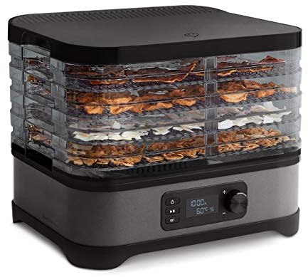 SPRINGLANE Deshidratador de alimentos antracita/negro, deshidratador de frutas verduras carne y hierbas, 5 bandejas de deshidratación, temporizador, temperatura ajustable, libro de Recetas
