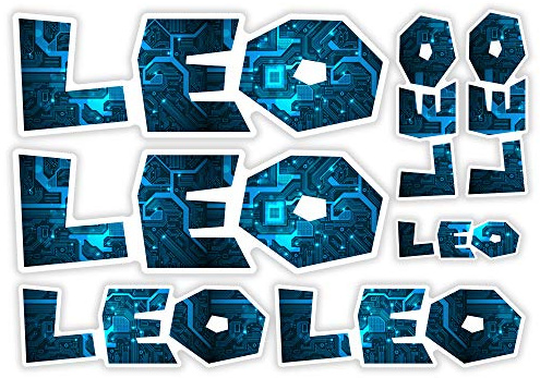 Leo Vinyl Name Stickers A5 Sheet Computer Chip Laptop Name Kids #30007 (A5 Sheet)