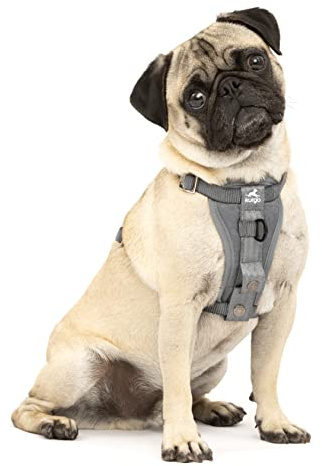 Kurgo TRU-Fit Autosicherheitsgeschirr für Hunde, Mit gepolstertem Brustteil und D-Ring, Mit Autogurt, Größe S, Grau