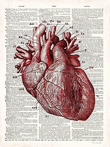 Feeling at home STAMPA su TELA ARROTOLATA Cuore di anatomia vintage James Christopher - Formazione scolastica verticale Canvas 380gr 100% cotone cm_64_X_48