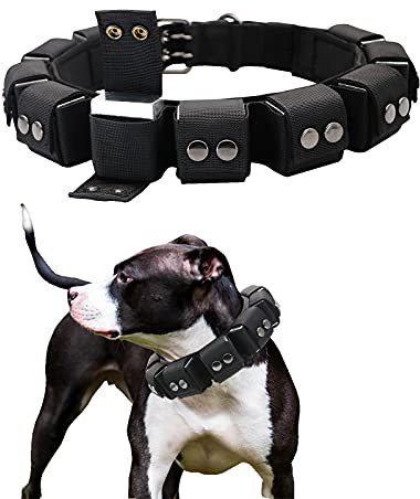 Walktime Taktisches gewichtetes Hundehalsband – Gewichte für Training und Bewegung – kleine, mittelgroße und große Hunde