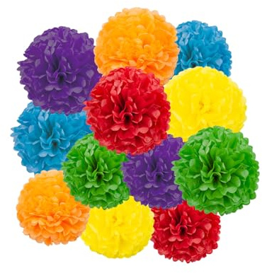Rainbow Tissue Pom Poms Paper Kit DIY Decorative Flowers Ball for Birthday Party Wedding Hanging Decorations Pack of 12 10in12in