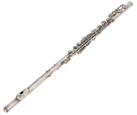 Flöte mit 16 Tasten, Anmutig Gestaltetes und Leicht zu Greifendes C-Flöteninstrument für den Auftritt (Grünlich-blaue Antik)