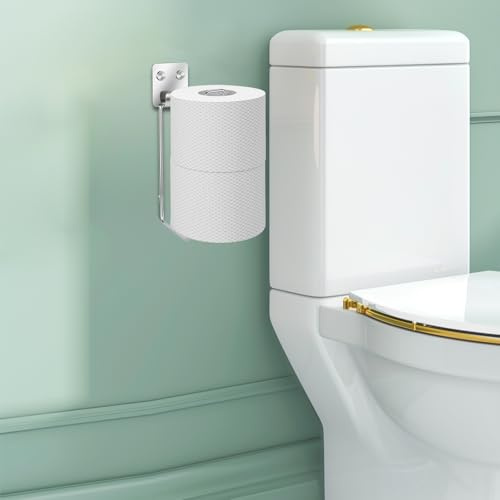 Tokokimo Almacenamiento de papel higiénico, soporte de pared autoadhesivo para papel higiénico para 2 rollos, soporte de papel higiénico sobre el tanque, soporte de acero inoxidable para