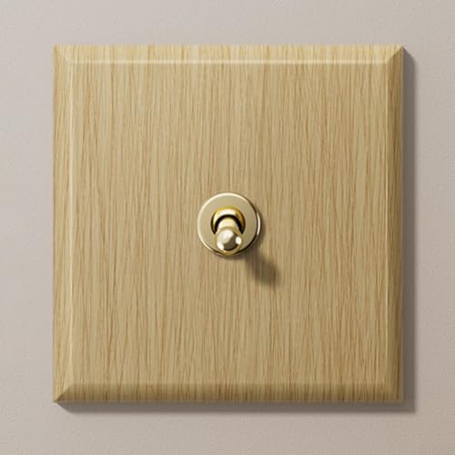 Interrupteur à bascule vintage en laiton avec plaque artisanale fabriquée à la main et fonctionnement intuitif pour une utilisation durable dans une maison élégante (1)