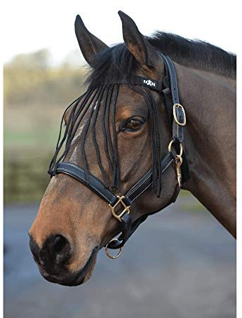 2022 Frangia Saxon 819122- Rosa Caldo - Weatherbeeta Mask Size - Pony