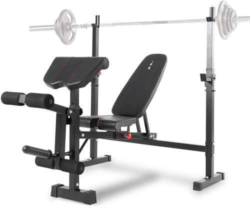 ISE Klappbare Hantelbank Multifunktion Trainingsbank mit 7-Fach Verstellbarer Höhenverstellung, Bankdrücken Bank Schrägbank für Ganzkörper-Workout, Fitnessbank für zu Hause SY-5024