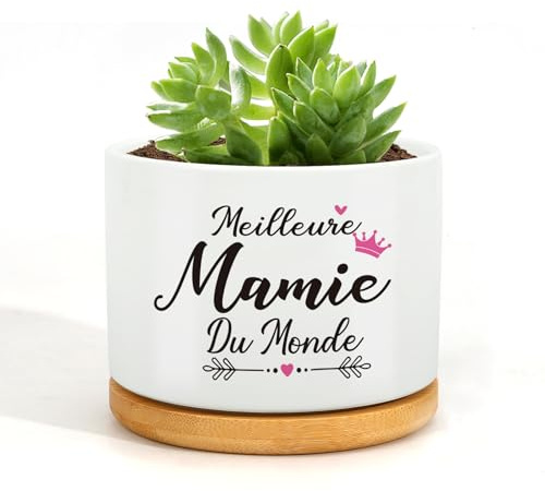 Wixelon Cadeau Mamie Noel,Cadeau Anniversaire Mamie,Cadeau pour Mamie Pot de Fleur,Cadeau Mamie Original,Idee Cadeau Grand Mere,Cadeau Fete des Mere