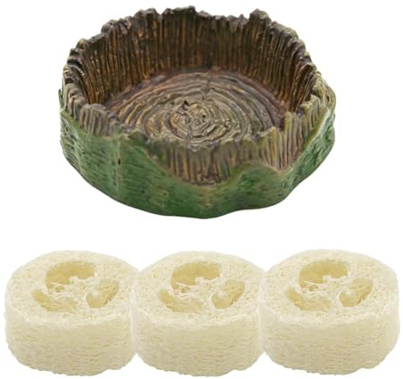 Alimentador De Cucarachas Plato De Reptiles Para Comida Y Agua Con Esponja | Cuenco De Terrario Para Cucarachas, Geckos, Isópodos, Arañas, Colémbolos Y Terrario, Recinto