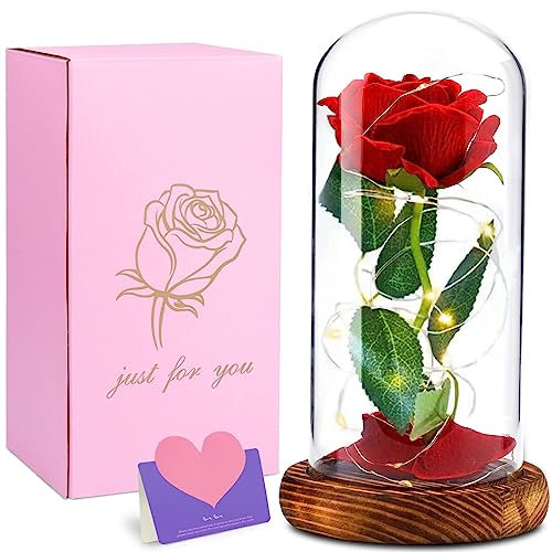 Cirulli Ewige Rose im Glas mit Licht,Rote Rosen Lampe in Glaskuppel,Valentinstag,Muttertag,Geburtstagsgeschenk, Romantisches Liebesgeschenk,Gifts for Women,Konservierte Blumen