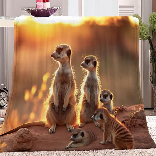 Decke Sofa Kuscheldecke Gelb, Flauschige extra weich warm Wohndecke Flanell Kuscheldecke Tier ErdmäNnchen Muster 150 x 200 cm verfügbar als Sofadecke oder Bettüberwurf