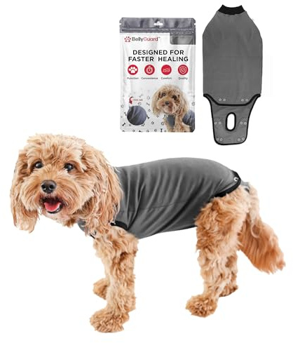 BellyGuard Hundebody Nach Op Hündin, Op Body Hund Kastration Rüde, Leckschutz Für Hunde Nach Op, Hunde Body Operation Hündin