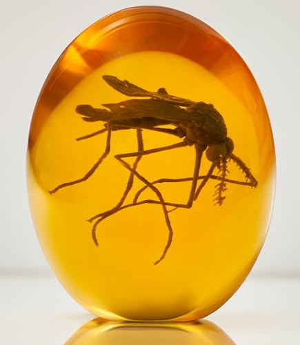 VEOJEIN Mosquito jurásico 3D – Mosquito en ámbar – Jurásico Realista Coleccionable – Pisapapeles de Resina de Fondo Plano – ADN de Dinosaurio