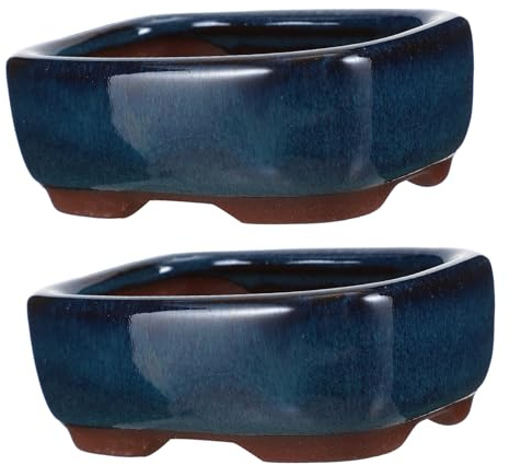 Milisten 2piezas Macetas De Cerámica para Suculentas Contenedores De Flores De Cerámica para Macetero para Plantas De Interior y Decoración De Jardín