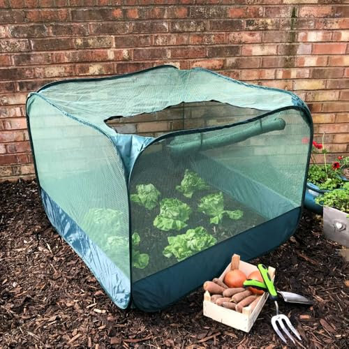 GardenSkill Pop Up Fruit and Vegetable Cage Grow-House - Plant Crop Protection Bird Net Cover Cloche (1m x 0.75m high, X 2)