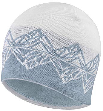 Salomon Unisex Beanie Graphic