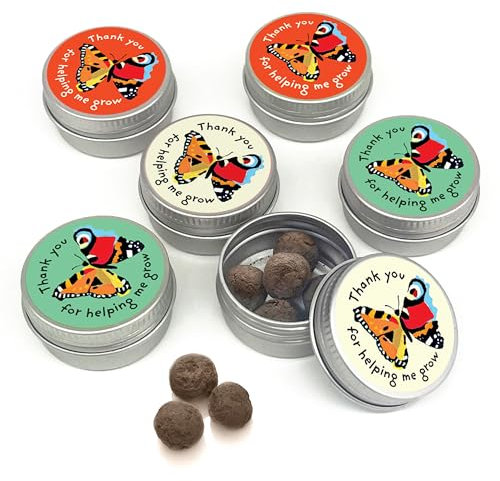 SEEDBALL Thank You Gifts Wildflower Seeds (Set of 6 Mini Tins) | Bee Friendly British Wild Flower Seed Mix - Red Campion, Musk Mallow, Cornflower Seeds for Bees, Butterflies & Garden Wildlife