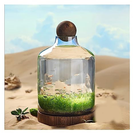 Aquarium Bouteille en verre for aquarium, Culture écologique, Micro paysage, petit réservoir de plantes à circulation automatique avec Base en bois, ornements de bureau Bocal Poisson(Grand)