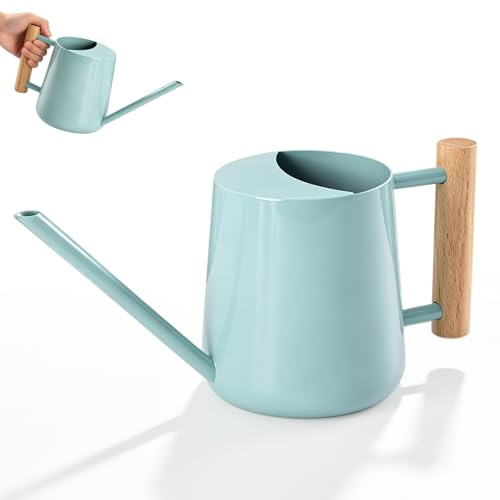 Arrosoir en Acier Inoxydable, 1L Arrosoir Plante Interieur, Petit Arrosoir pour Plantes D'intérieur avec Poignée, Long Bec, pour Plantes Extérieures, Plantes Succulentes, Jardins d'herbes, Fleurs