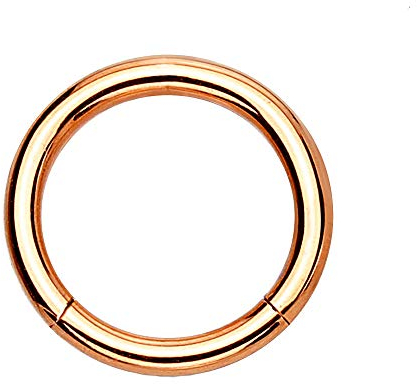 eeddoo Piercing-Ring Segment-Clicker Segment-Ring Rosegold Edelstahl 1,0 mm x 10 mm