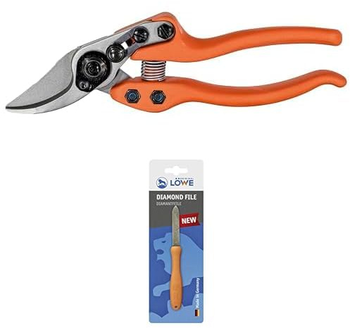 Original LÖWE Set bestehend aus Bypass Gartenschere 12.104 mit kurzem Präzisionsschneidekopf für Pflanzen und Rosen & Diamantfeile 0023 für Scheren, Äxte und Werkzeuge