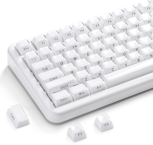 YUNZII Jelly PBT Keycap Set,113 Keys Custom Keycap with Keycap Puller,Laser Etching OEM Profile Keycap Compatible with 65% 75% 96% Full Size for Cherry Gateron MX Switches Mechanical Keyboard (White)