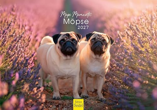 Edition Seidel Premium Kalender Mops-Momente Möpse 2027 DIN A5 Wandkalender Hundekalender Möpse Hund Haustier Welpen Hunderasse