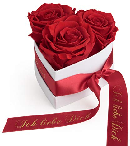 Infinity Rosen Rosenbox Herz - 3 konservierte rote Rosen haltbar 3 Jahre 10x12cm- Valentinstag für Sie Geschenk Ich Liebe Dich - Rosemarie Schulz Heidelberg (Rot, Small)