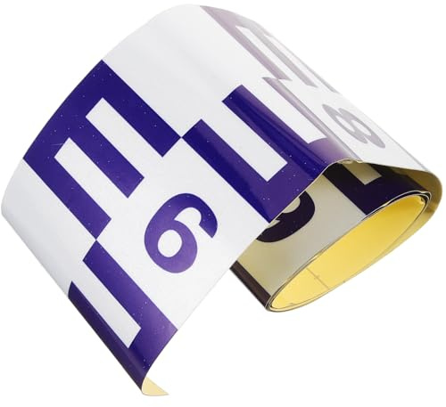 MAGICLULU Righello Adesivo per Livello Acqua Piscina 10x100cm Blu Riflettente, Indicatore Durevole per Stagni e Laghi, Strumento di Misura Livello Acqua per Controllo Carenza Idrica