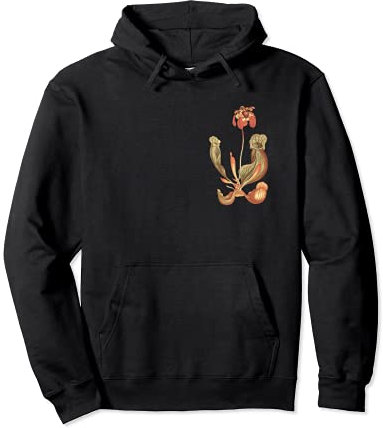 Pianta carnivora, pianta brocca, tromba, Sarracenia Purpurea Felpa con Cappuccio