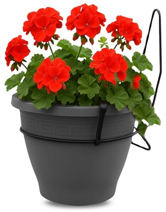 TECHZOCO Macetero con Soporte de Pared, Maceta Redonda plástico, Tiesto Colgar Flores, Fabricado en Polipropileno, Recipiente Pared para Flores, 20 cm diámetro x 15 cm Base x 21.5 cm Alto, Antracita
