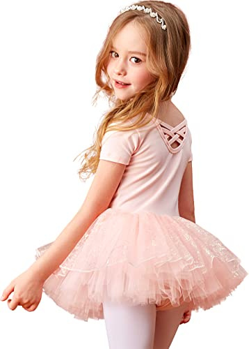MdnMd Girls Toddler Ballet Tutu Leotard Ballerina Dress Outfit Short Sleeve Dance Shiny Colorful Skirt (Ballet Pink, 4-6 Years)