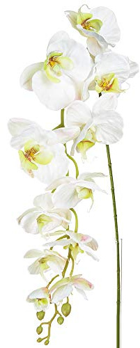 FloristryWarehouse Orquídea Phalaenopsis Seda Artificial Trailing 130cm Blanco Decoracion