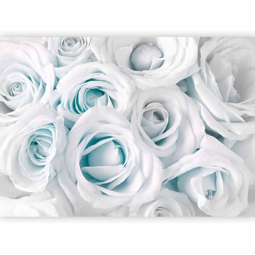 murando Fotomurales Flores Rosa 400x280 cm XXL Papel pintado | tejido no tejido Decoración de Pared decorativos Murales moderna Diseno Fotográfico azul blanco