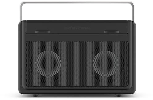 PerfectPro Radio de Chantier AUDISSE - Dab + Enceinte Bluetooth avec réception FM - Chargeur et Pile au Lithium Inclus - Résistante aux Chocs - Radio Portable avec Ports AUX et USB