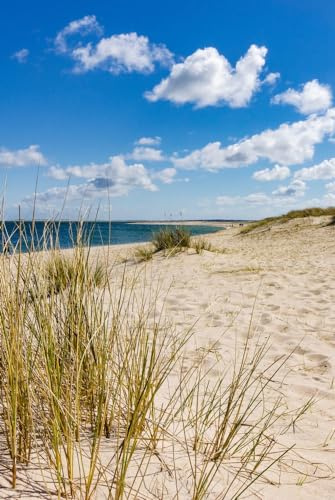 Magnettafel Pinnwand XXL Magnetbild Sand Strand Düne Meer Größe 80 x 100 cm